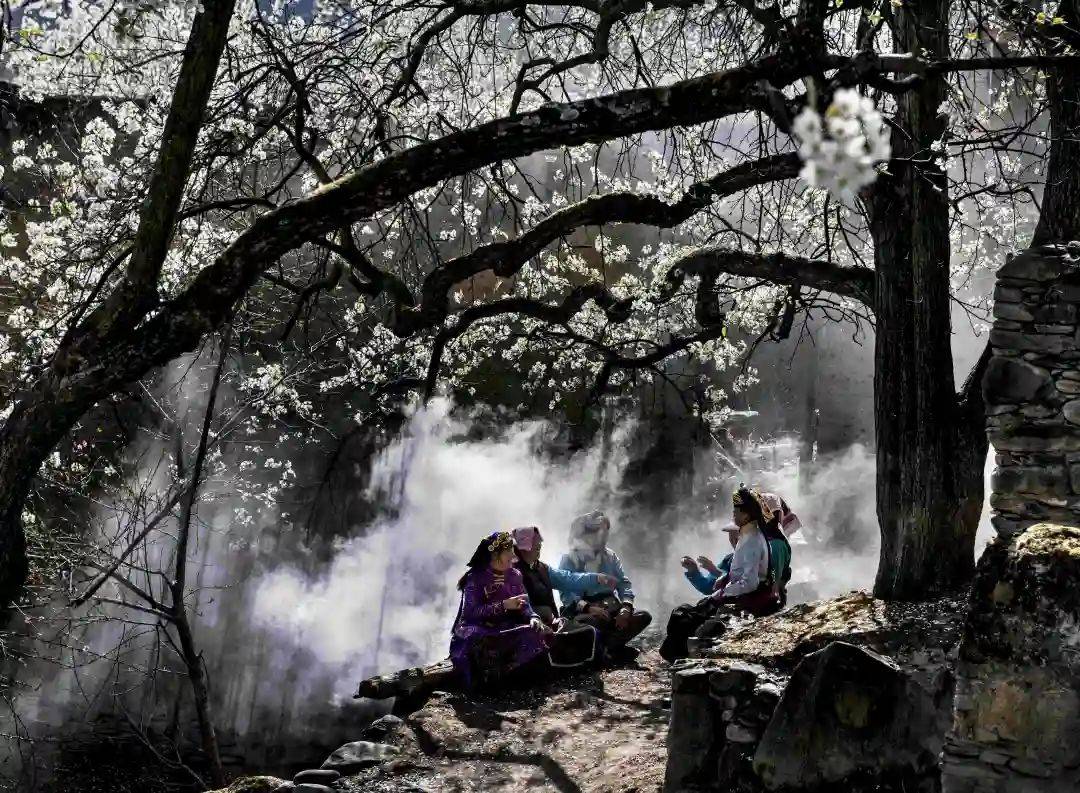 马斌摄《卧龙云海》 王金《仙境阿坝》 李刚《乡村篮球赛》 颜晓浴抖