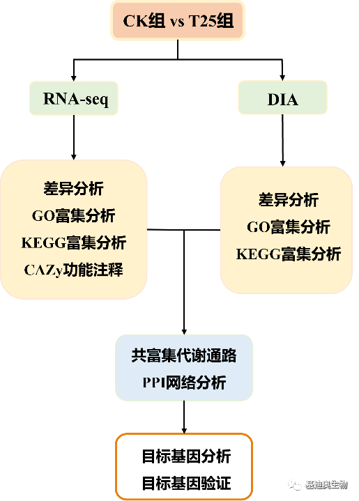 转录组多组学|如何用"转录组 蛋白组"常规分析思路发高分好文_基因_富
