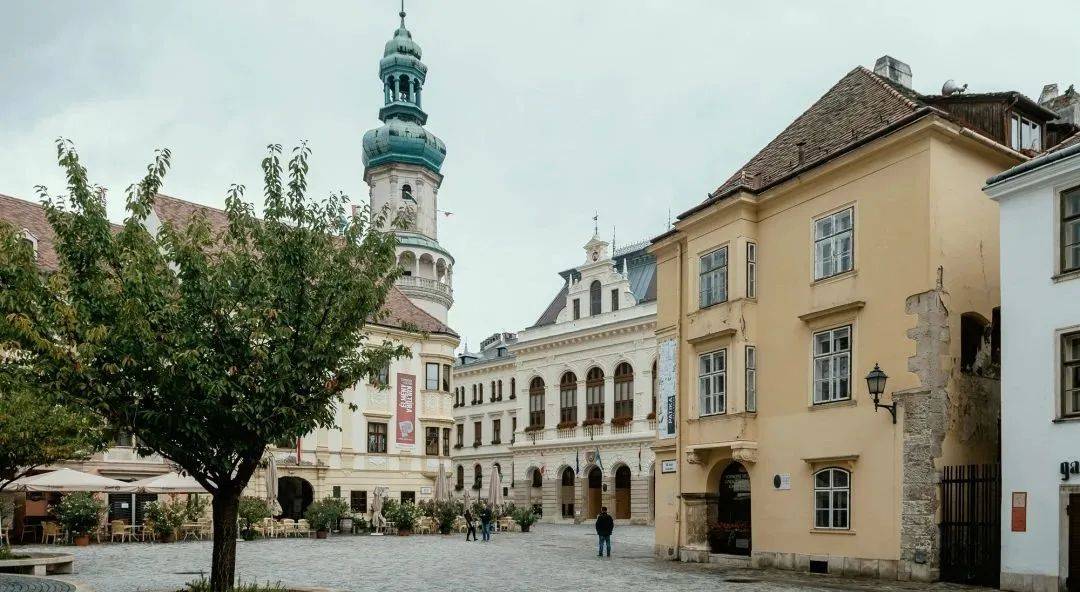 卡法兰克斯的故乡:肖普朗(sopron)葡萄酒产区的美食之旅