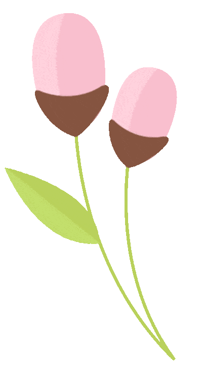 《分肌精护》栏目第12期|ospw(油-敏-色-皱)皮肤类型的科学调理方案!