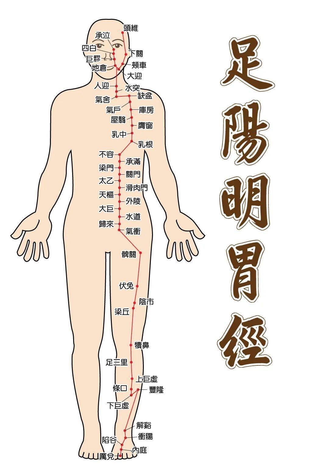 艾灸这一条经络