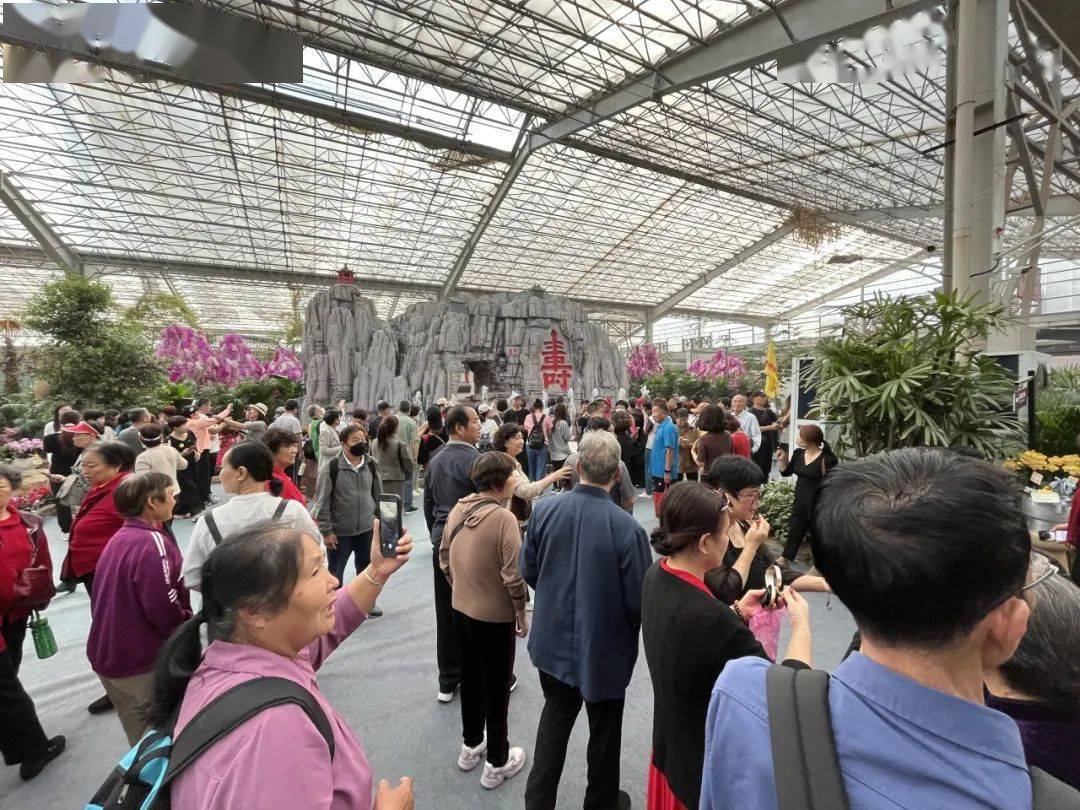 这个假期让我们相约青州,共赴"花的邀约"_花卉_交易会_主会场