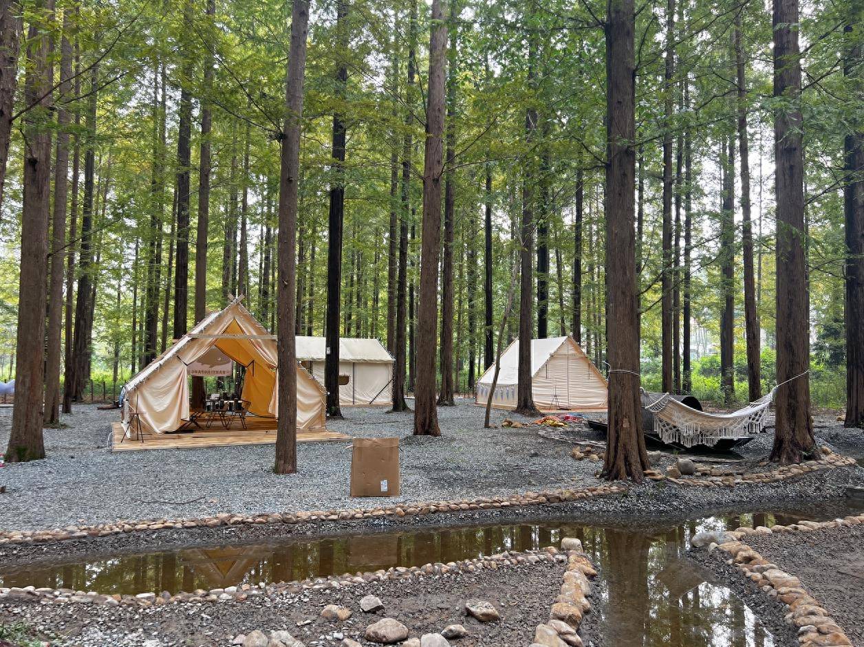 南川窑湾森林露营基地图片