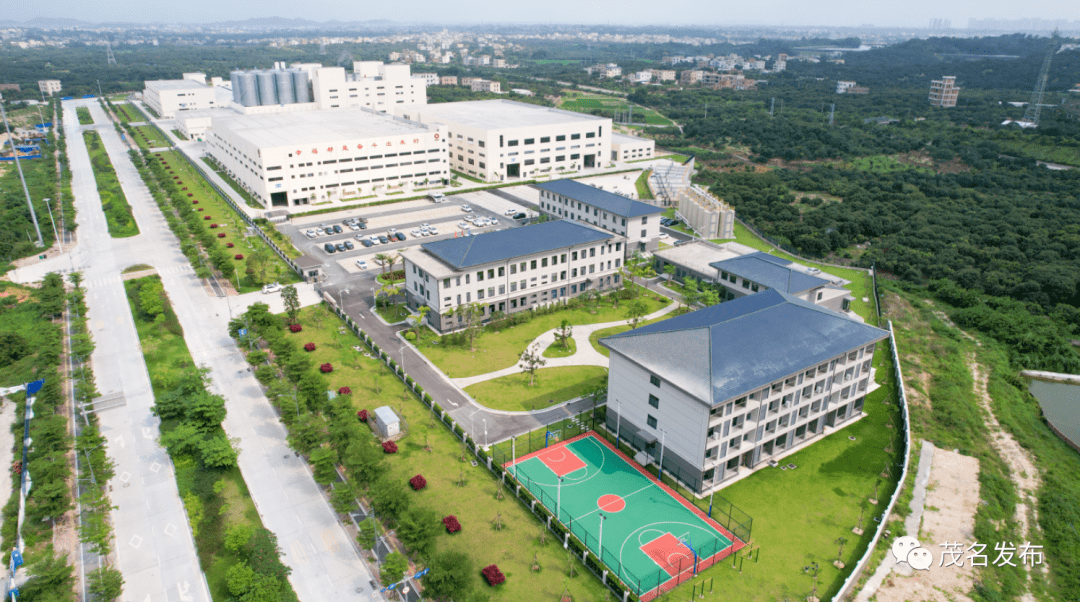 市委常委会专题听取茂南区山阁镇工作汇报:做优镇墟规划建设,建强"两