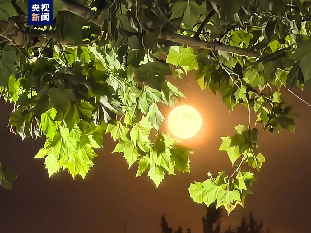 【五绝】《月》庄灿煌