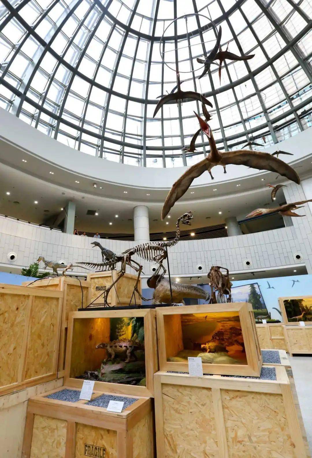 9月29日,"重返恐龙纪元——大型科普艺术巡回展"在中国港口博物馆阳光