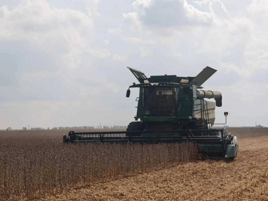 通过品种生产区gps面积定位,联合收割机实收大豆脱粒,称重,按标准水