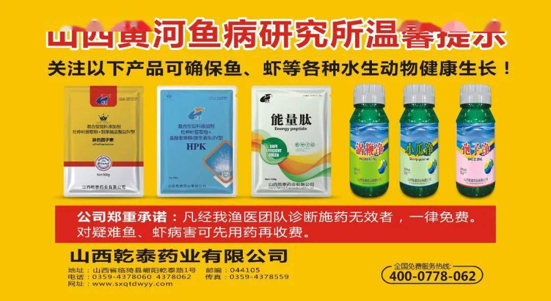 80%依赖进口！鱼粉价格飙升，饲料暴涨两三千元/吨，下半年价格怎么走