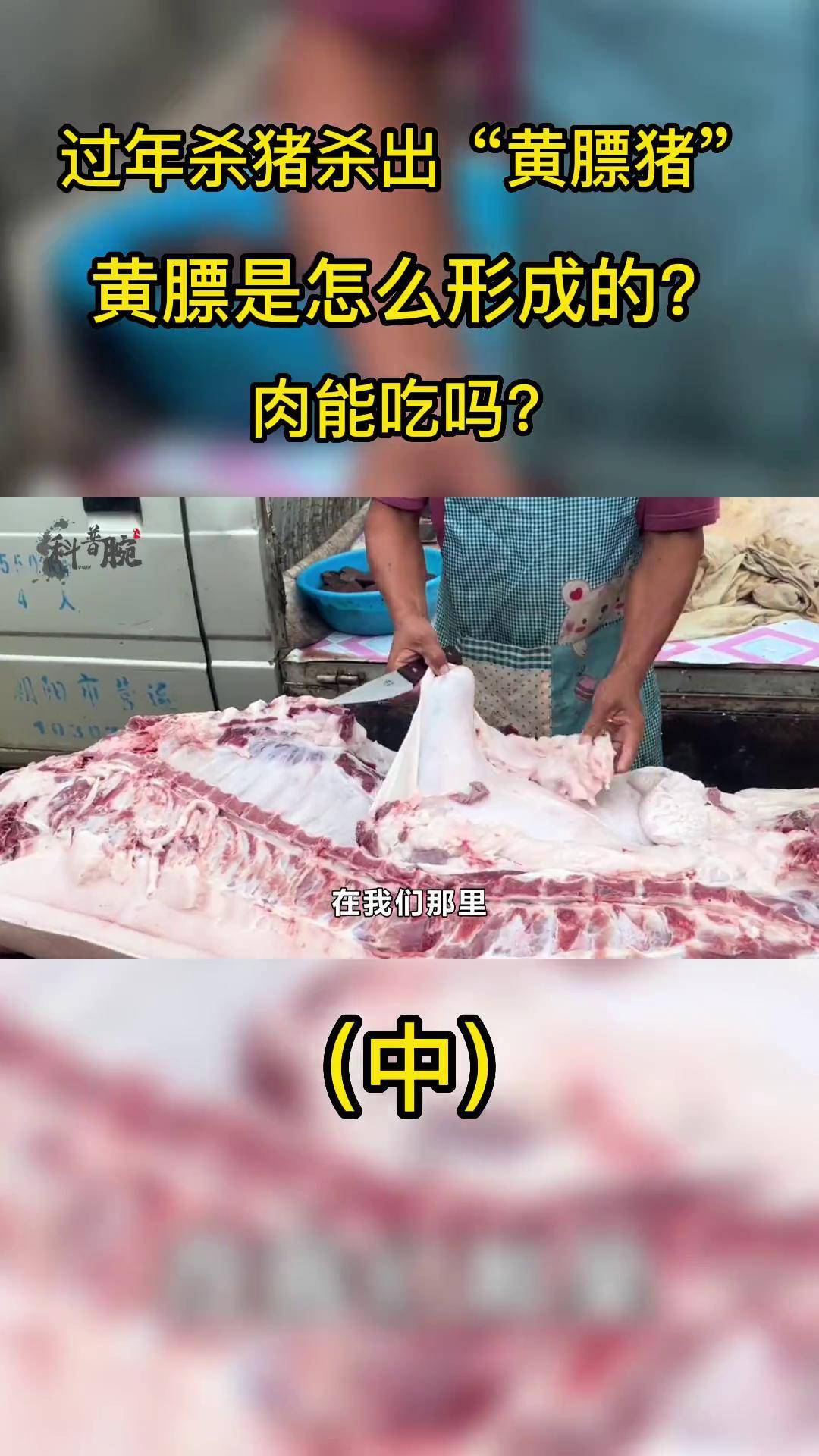 猪肉 年猪 食品安全 科普 涨知识