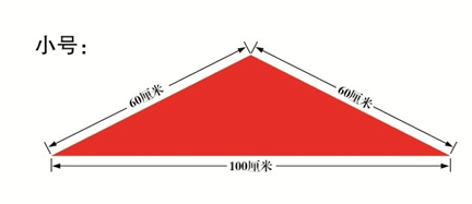 少先队历史_历史少先队员_少先队历史知识知多少