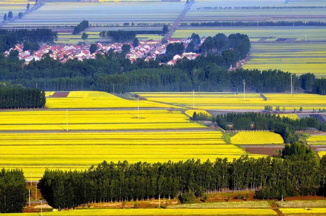 《学习时报》刊发诸城市委书记张建伟署名文章《山东省诸城市:以股份