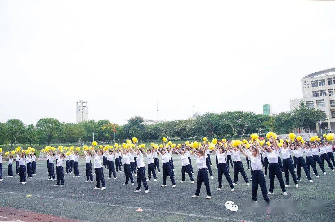 运动会_开幕式_表演