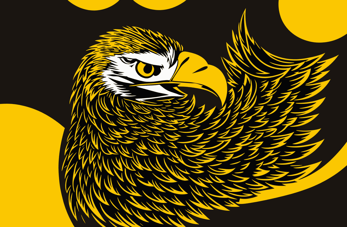 美联储一大鹰派开始偏“鸽”！_搜狐网