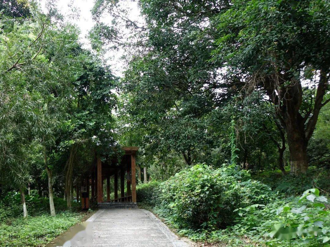 中国少数民族特色村寨:蓝屋村游记_畲族_潮州_凤凰