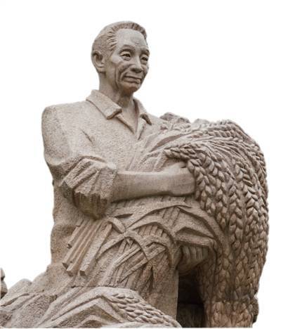 袁老,您的梦成真了_水稻_袁隆平_攻关