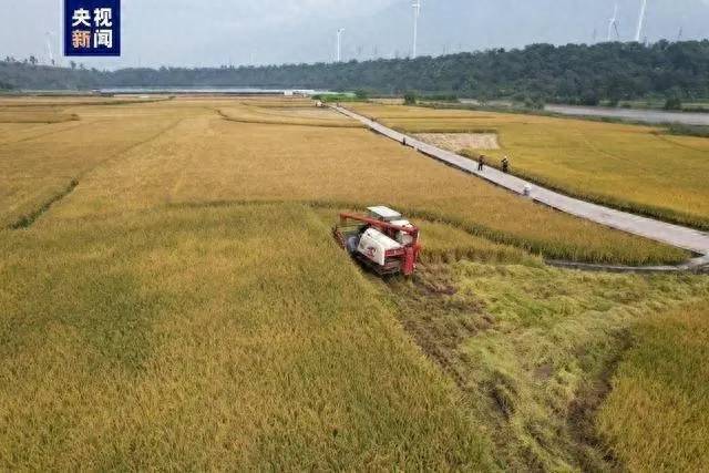 早读七点丨今天开始报名！这项重要考试时间定了→