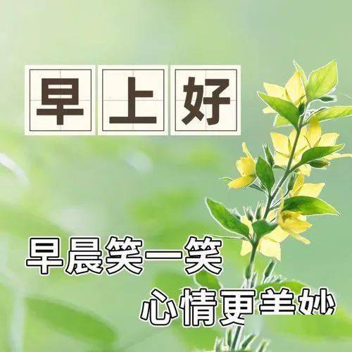 早安问候祝福语大全，祝你工作顺利，日日安康