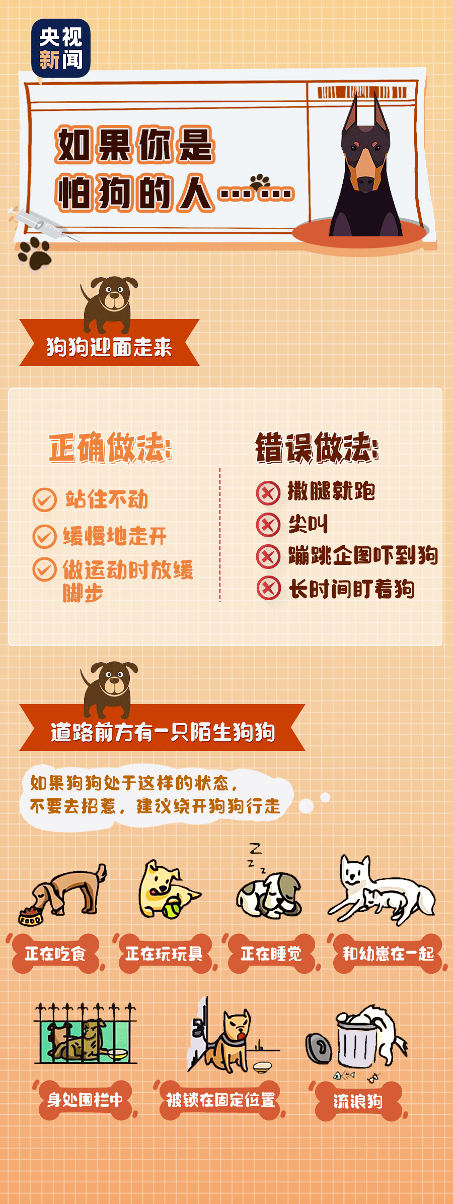 這些細節你需要注意↓↓↓預防犬咬傷 溫馨提示怕狗的人怎麼辦?