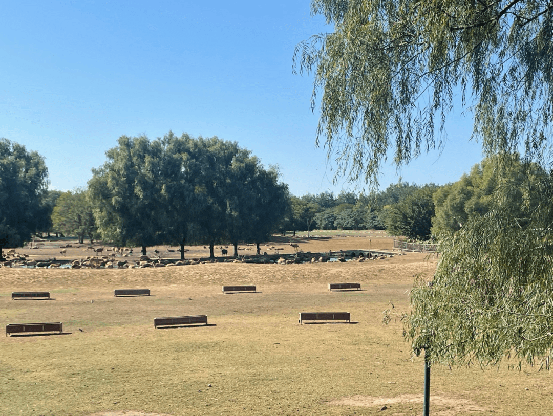 年级动态丨"古韵遗风,自然之美"——高二年级南海子公园,麋鹿苑综合