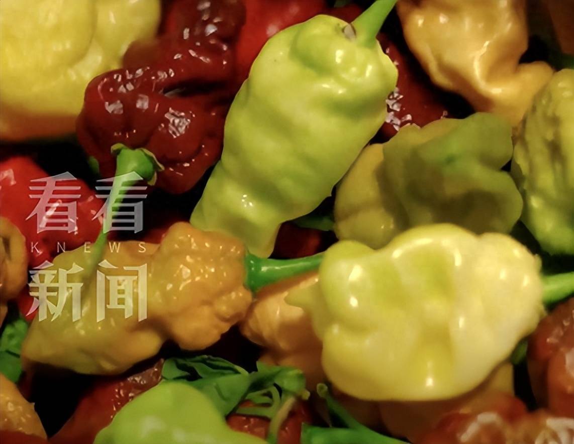 比"死神"辣椒还要辣!仅5人吃下一整个.咋长这样啊?