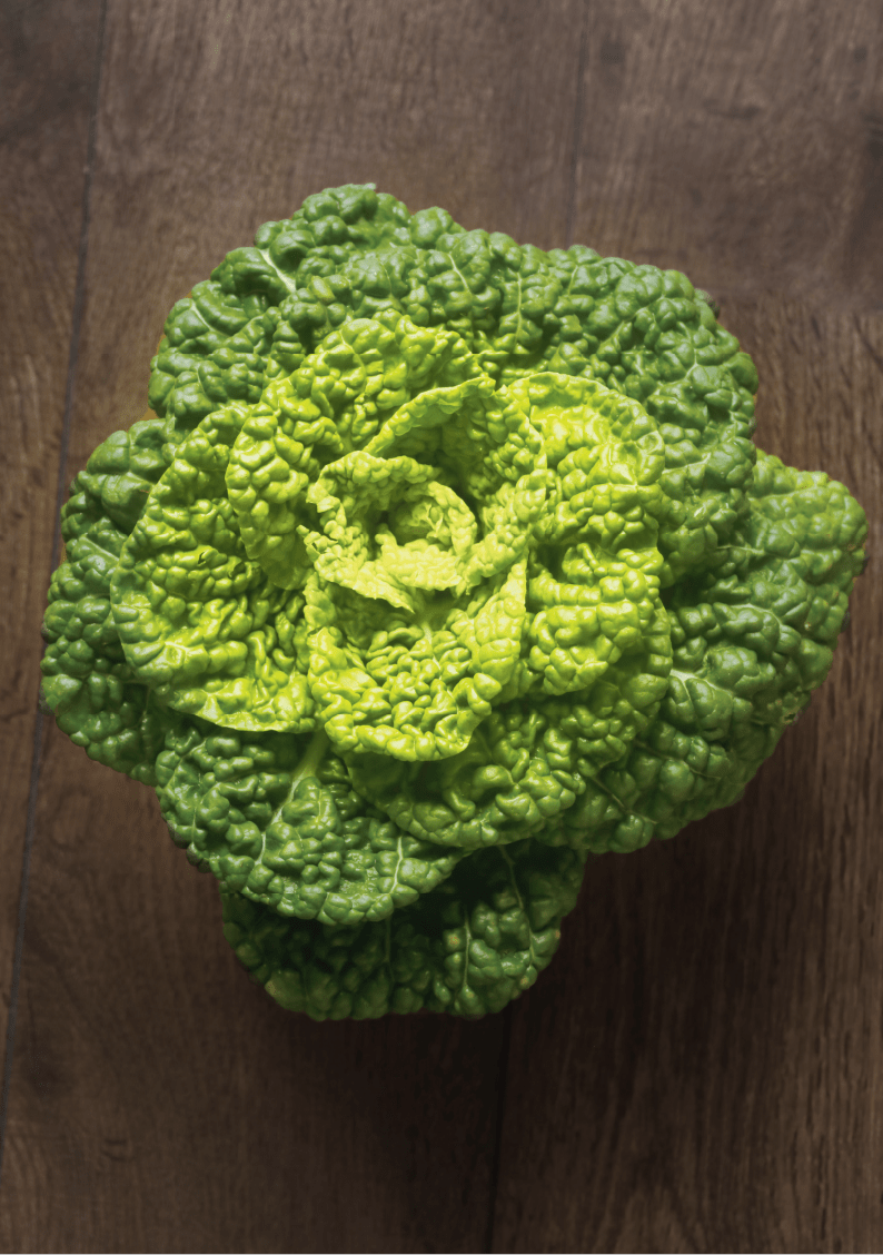 山海秋花,岁月霜华!