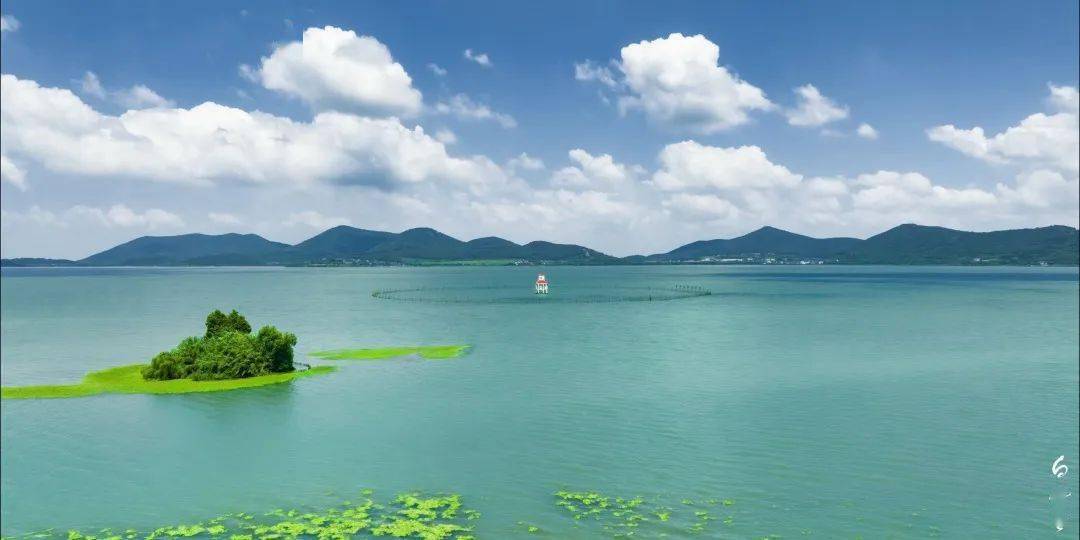 擦亮绿色发展的"太湖名片"!_度假区_生态_强文旅