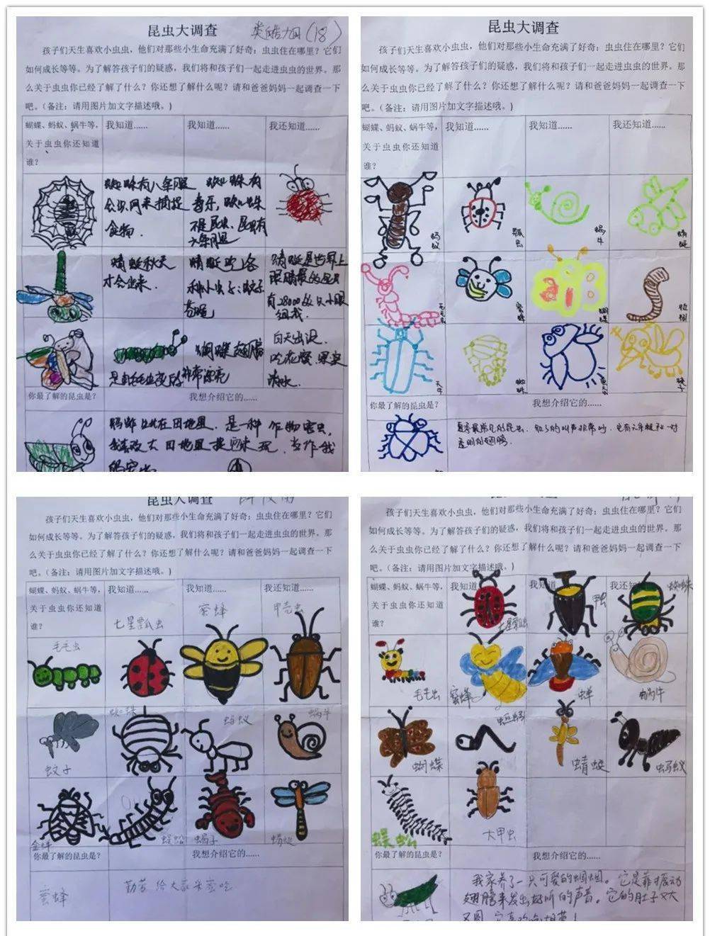 在自然中行进 邂逅秋日美好