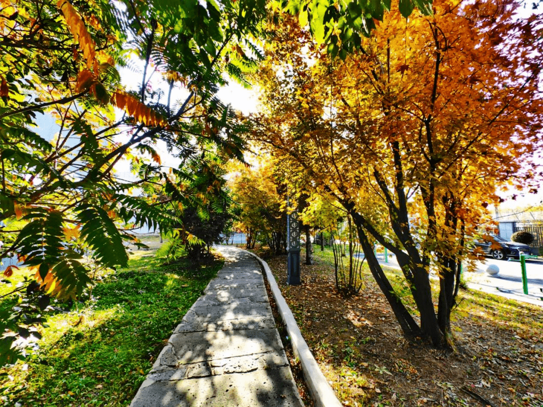 秋色浓妆总相宜/公主岭一中秋景