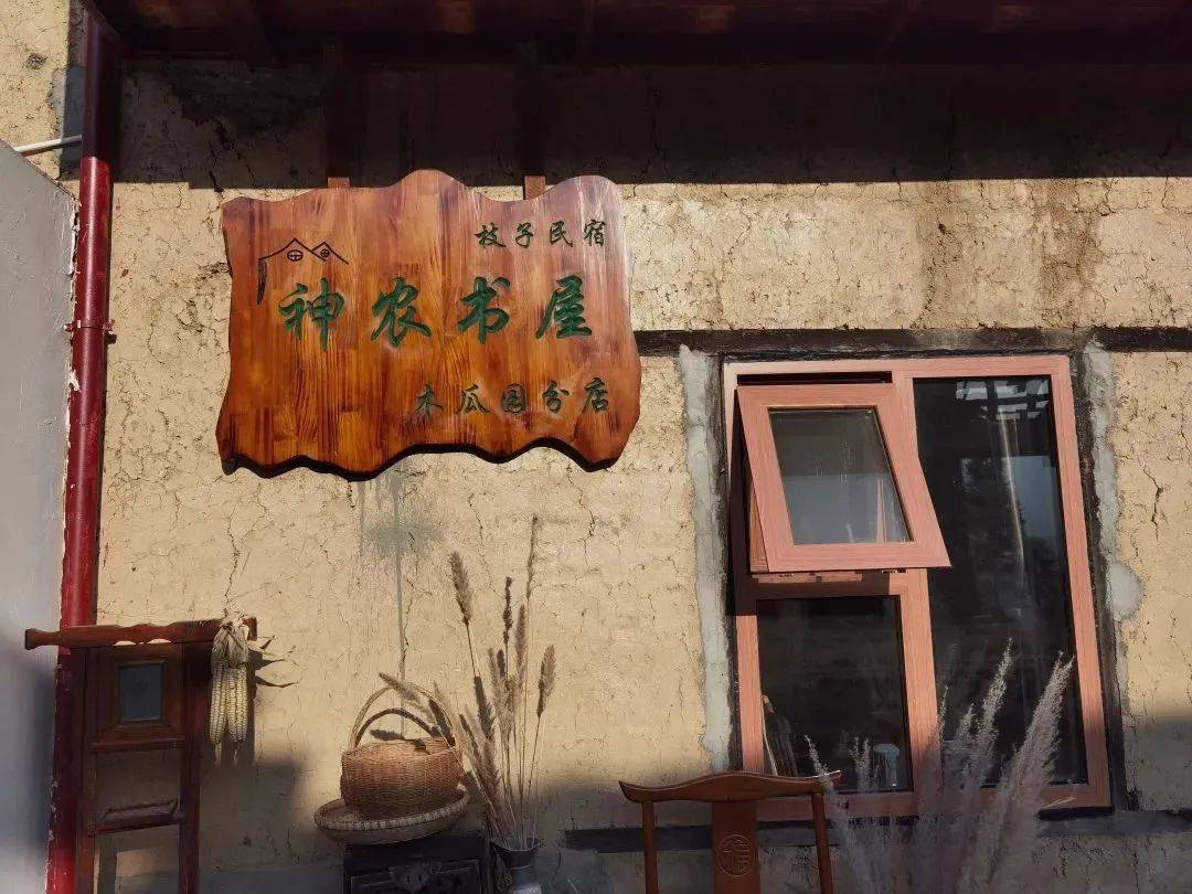 韦群_乡村_林区