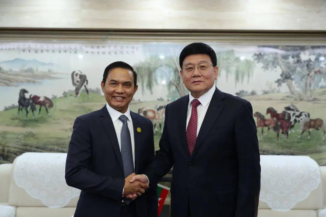 王贺胜会见缅甸卫生部副部长埃吞一行_合作_国家_疫情