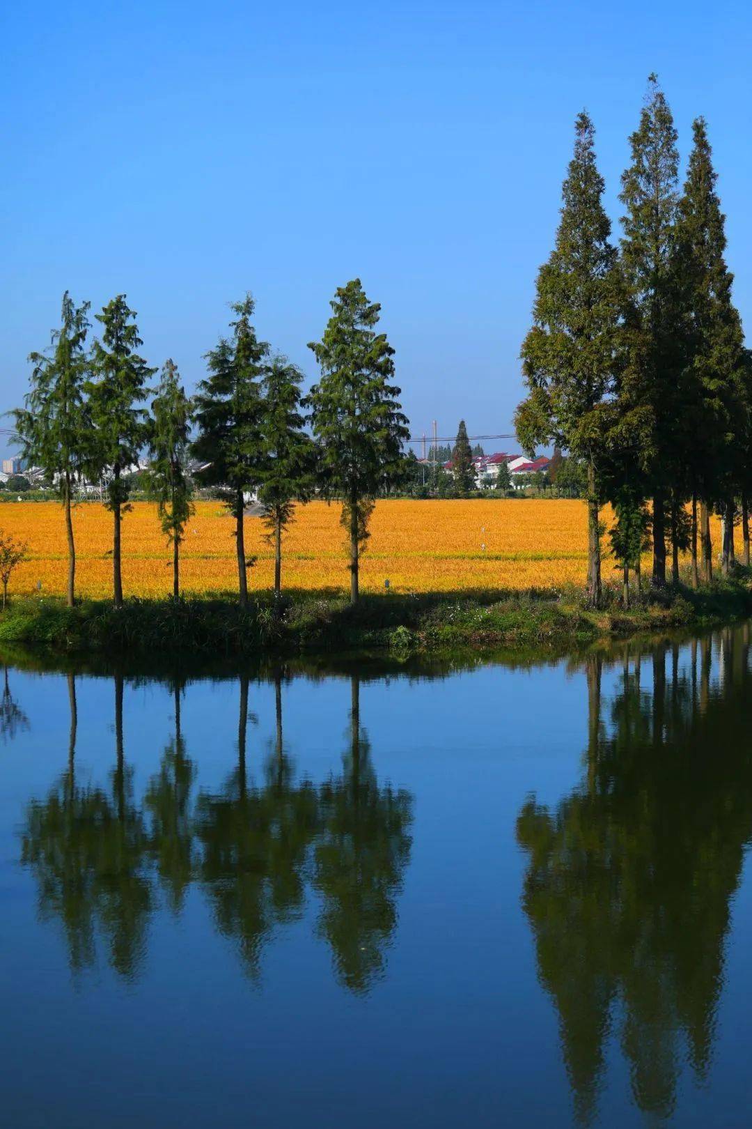 【图说·绍兴】东鉴湖风光掠影_清素_显得_摄影