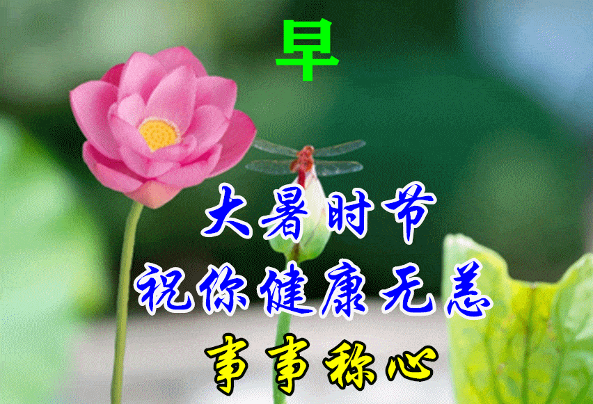 早上好问候祝福语，祝福问候，吉祥安康！