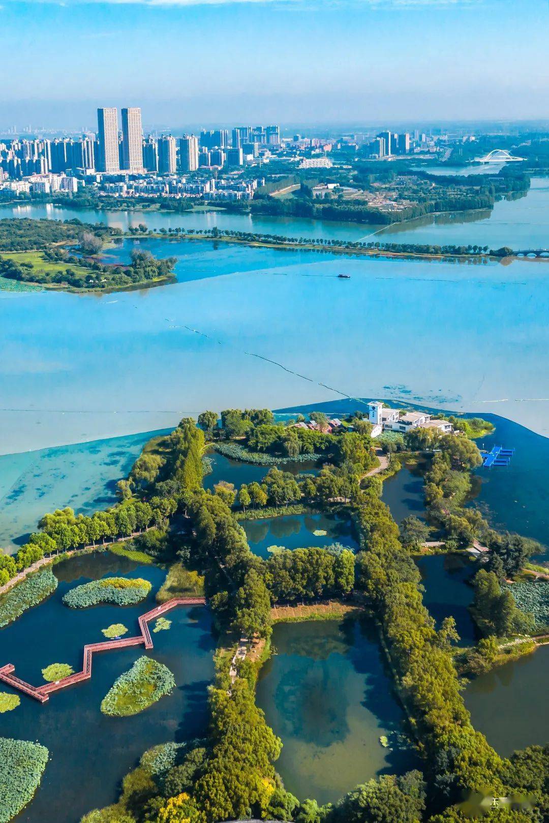 东西湖区