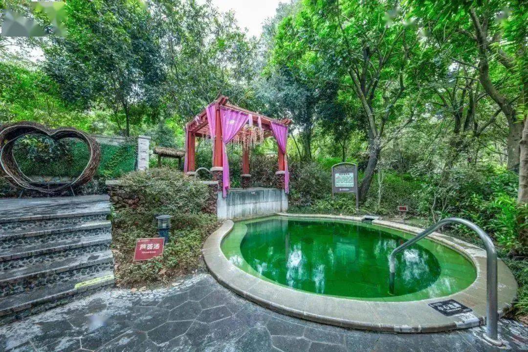 秋冬去惠州养生谷泡温泉,50 园林温泉池,吃3菜1汤农家晚餐,住进天然大