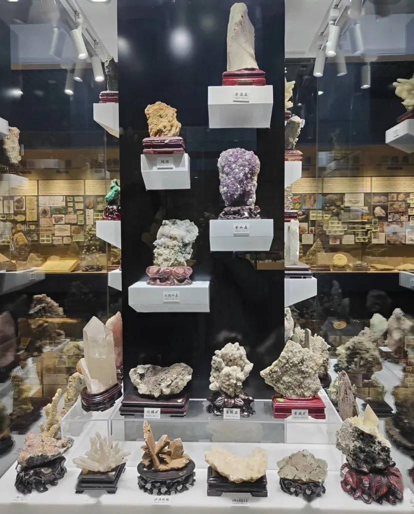 973亲子秋游,和丁然小颖一起探访柳江地学博物馆,报名送973报时宝宝