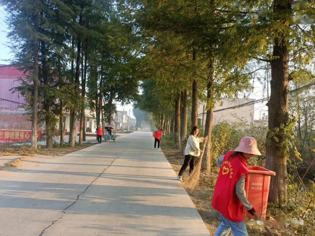 罗山县竹竿镇:持续开展人居环境整治及"四好农村路"整治提升工作_乡村