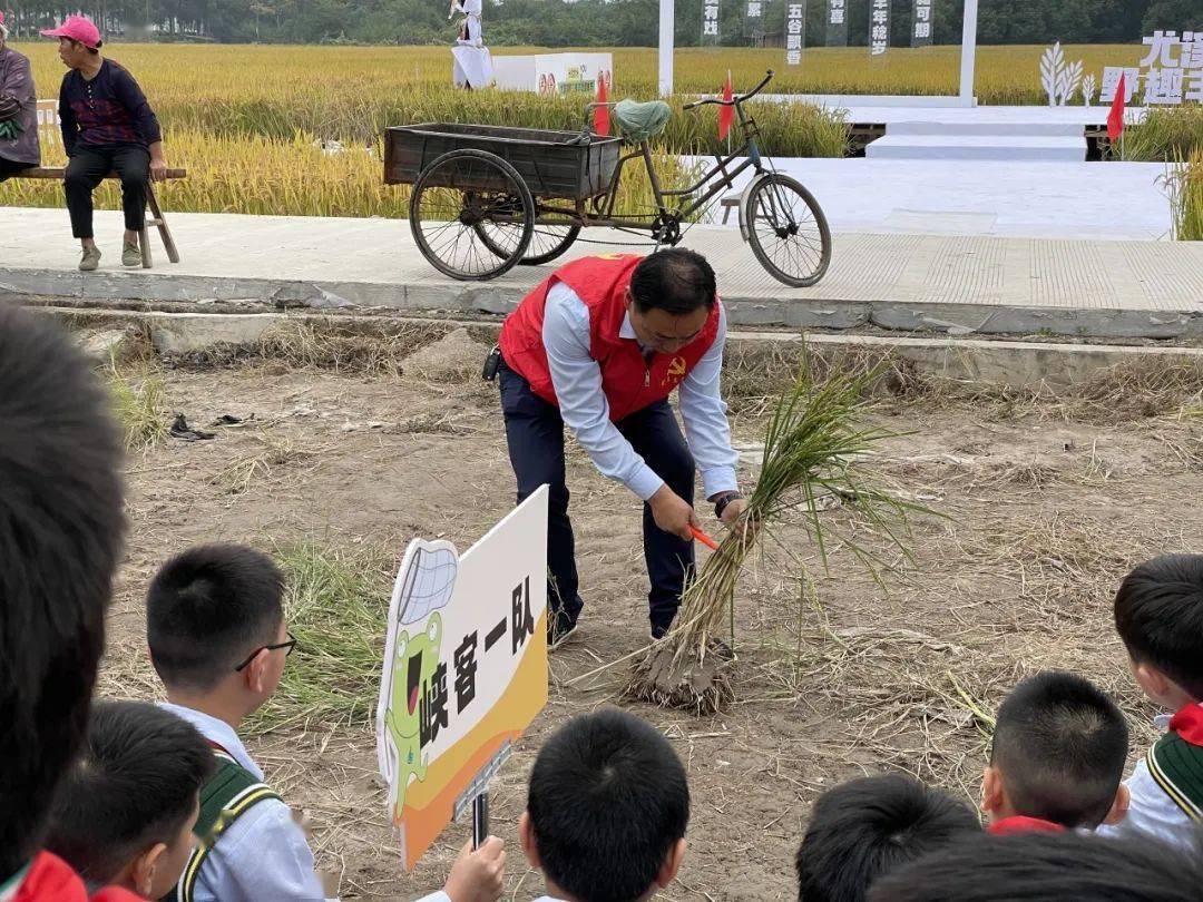 临海市尤溪镇中心校图片