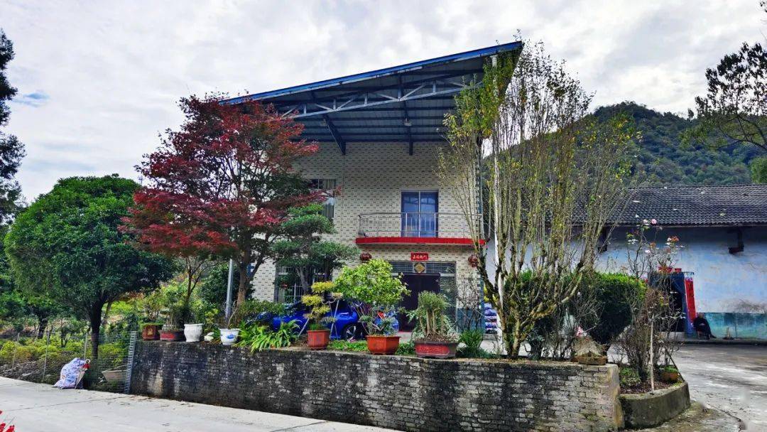 庭院扮靓乡村 长阳贺家坪镇青岗坪村九旬夫妇用爱将庭院绿植呵护成一