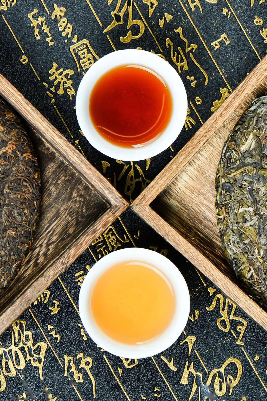 千年景迈 世界共享 西安金秋大茶会澜沧古茶向世界传递茶叶新名片