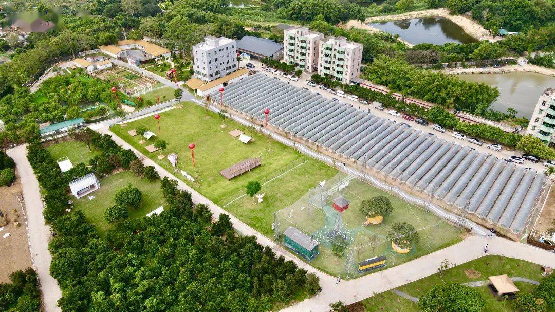 娱乐,销售等为一体的综合农旅园区——"石岐鸽之乡"中山食出开心农场