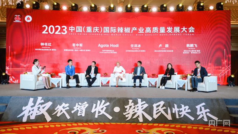 paprika公司总经理agota hodi ,西南大学心理学部教授韩鹏飞,红河宏斌