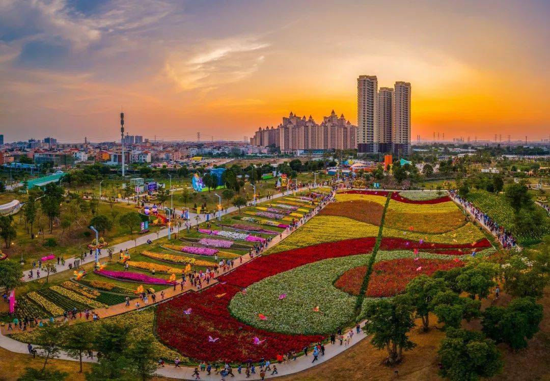 67"花情秋韵 雅致菊城"2023年小榄菊花会11月23日盛大开启_文化