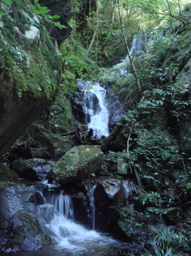 龙栖山自然风景区简介图片