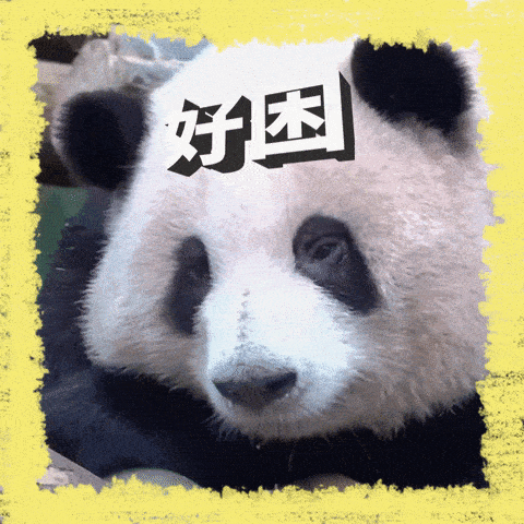 480_480gif 动态图 动图