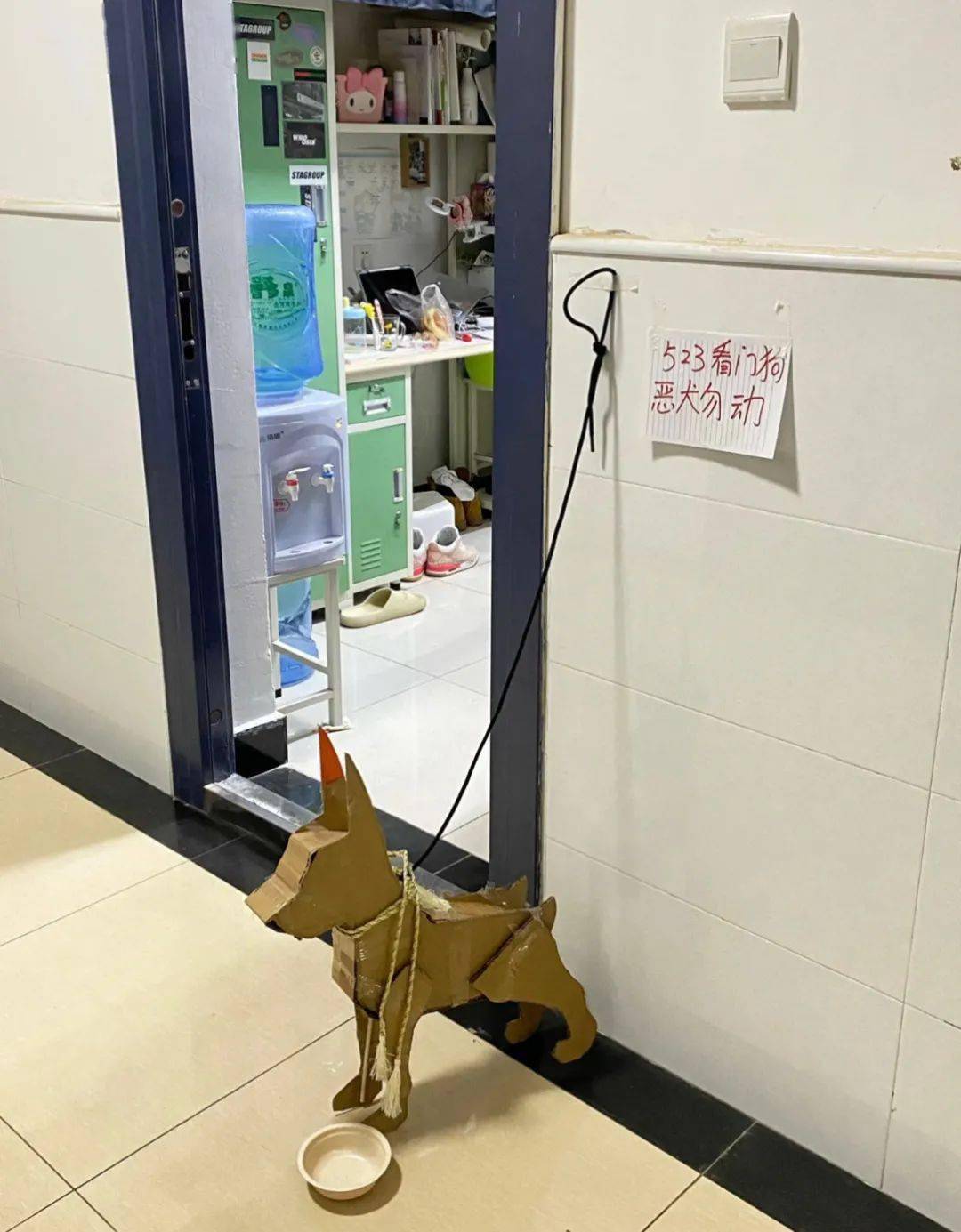 盘点当代大学生在寝室养的"看门狗",这脑洞简直是没谁了哈哈哈.