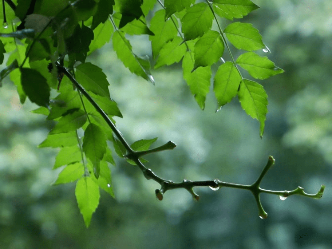 秋天最温柔