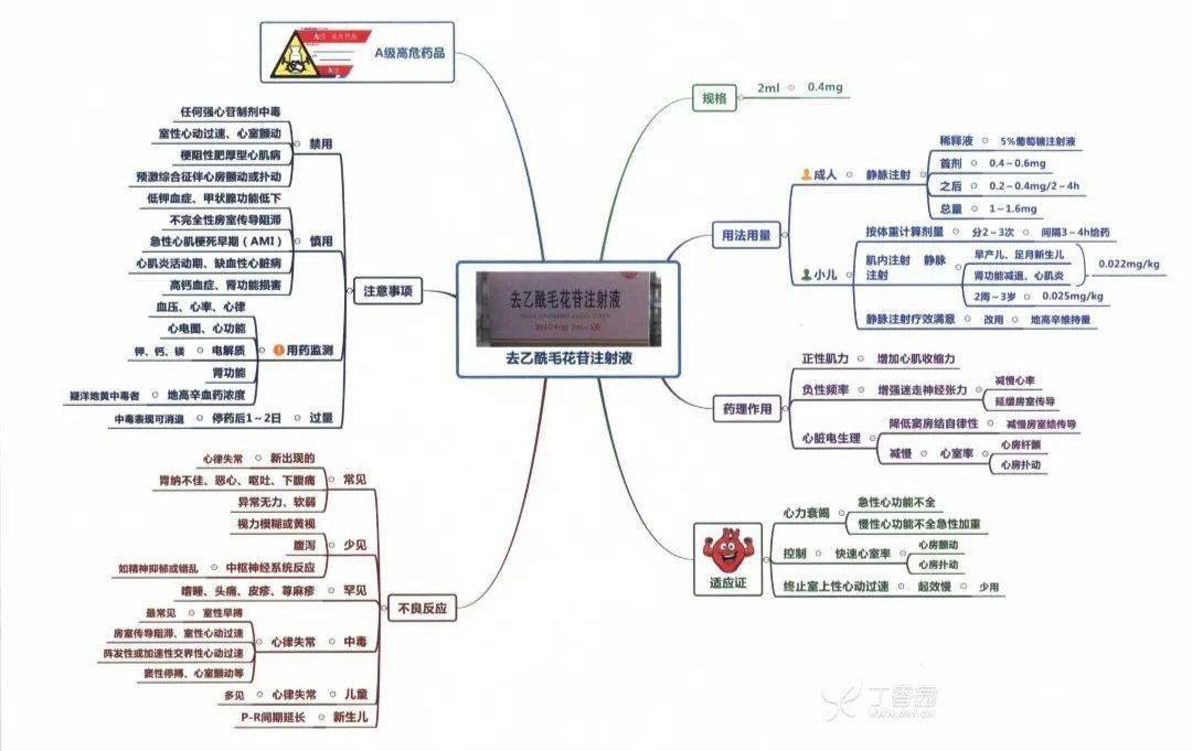 甲状腺肿瘤思维导图图片