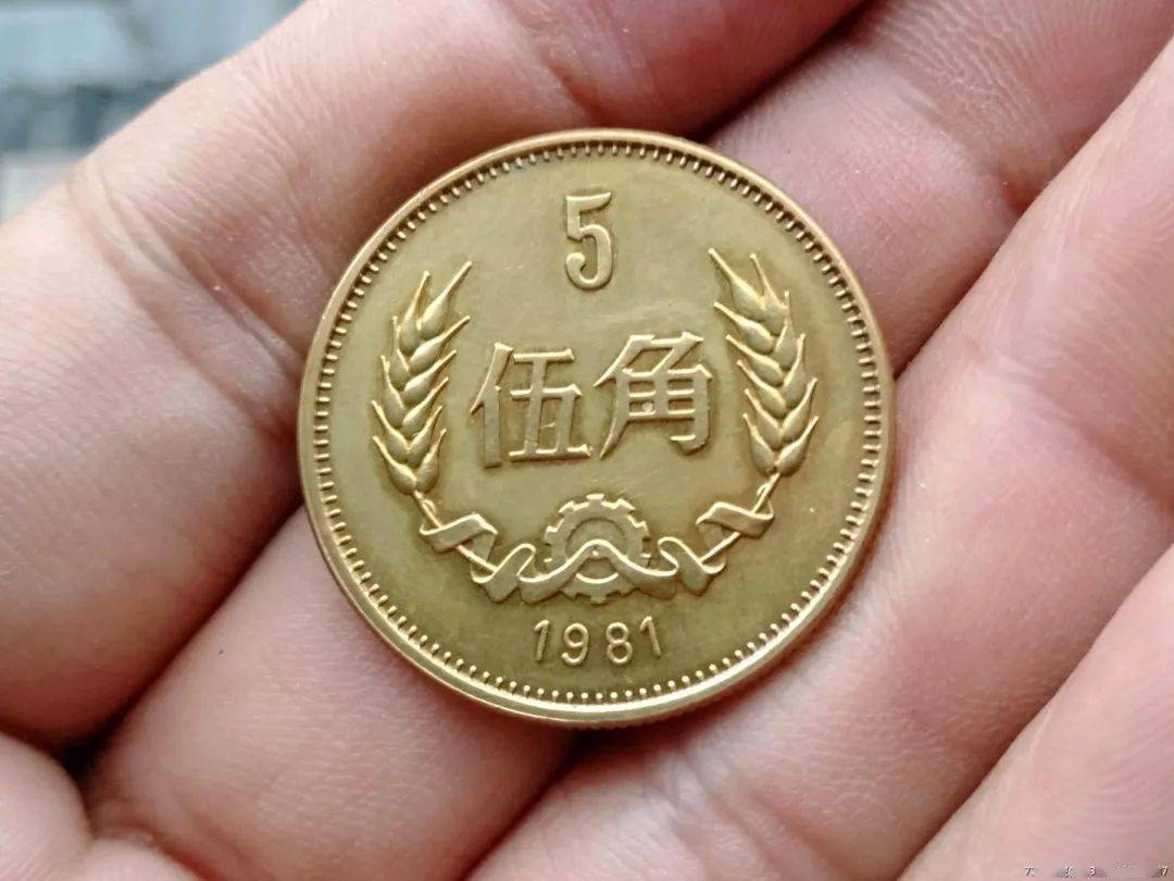 我在马路边，捡到了五毛钱（20231030）_搜狐网