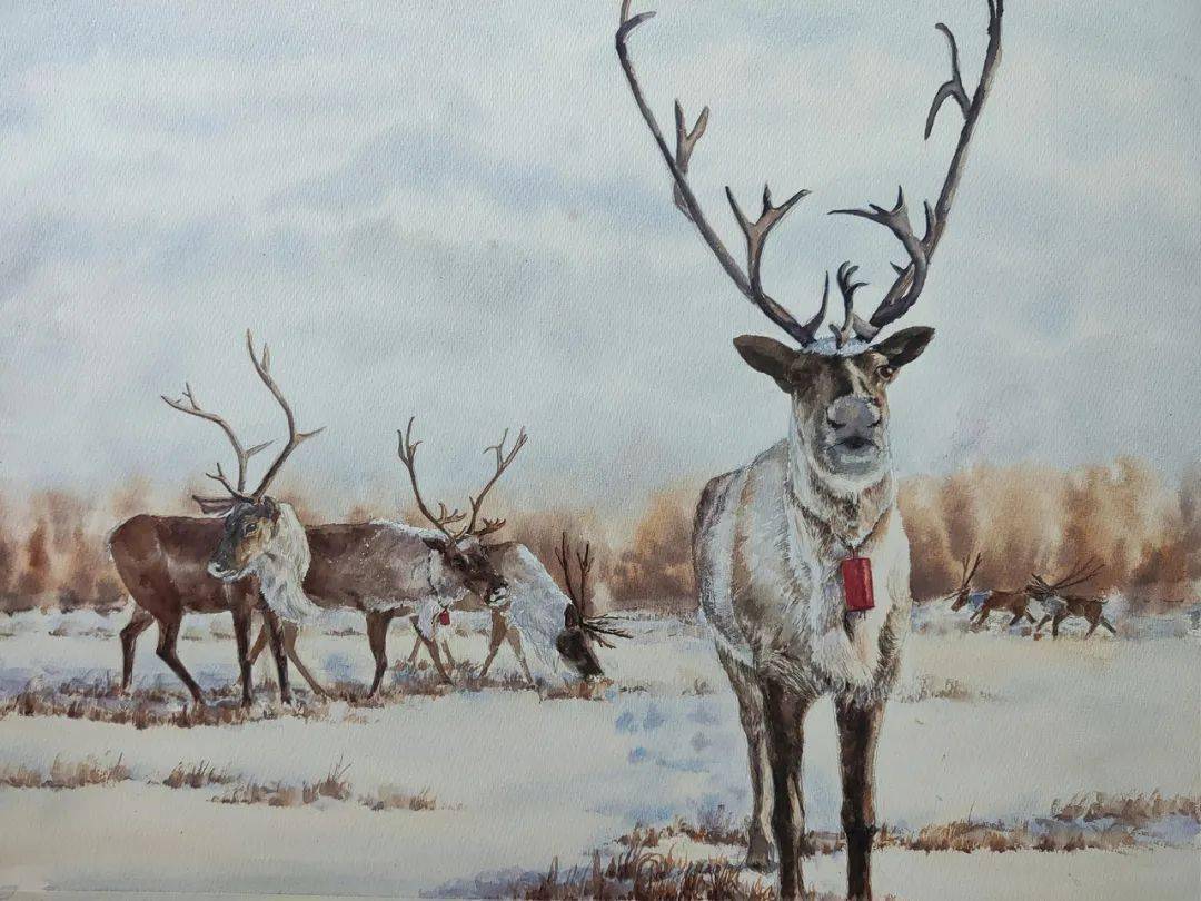 兴安精灵——鹿 水彩 孙建国驯驼 国画 左逸烟山云树 国画 云欣燕依山