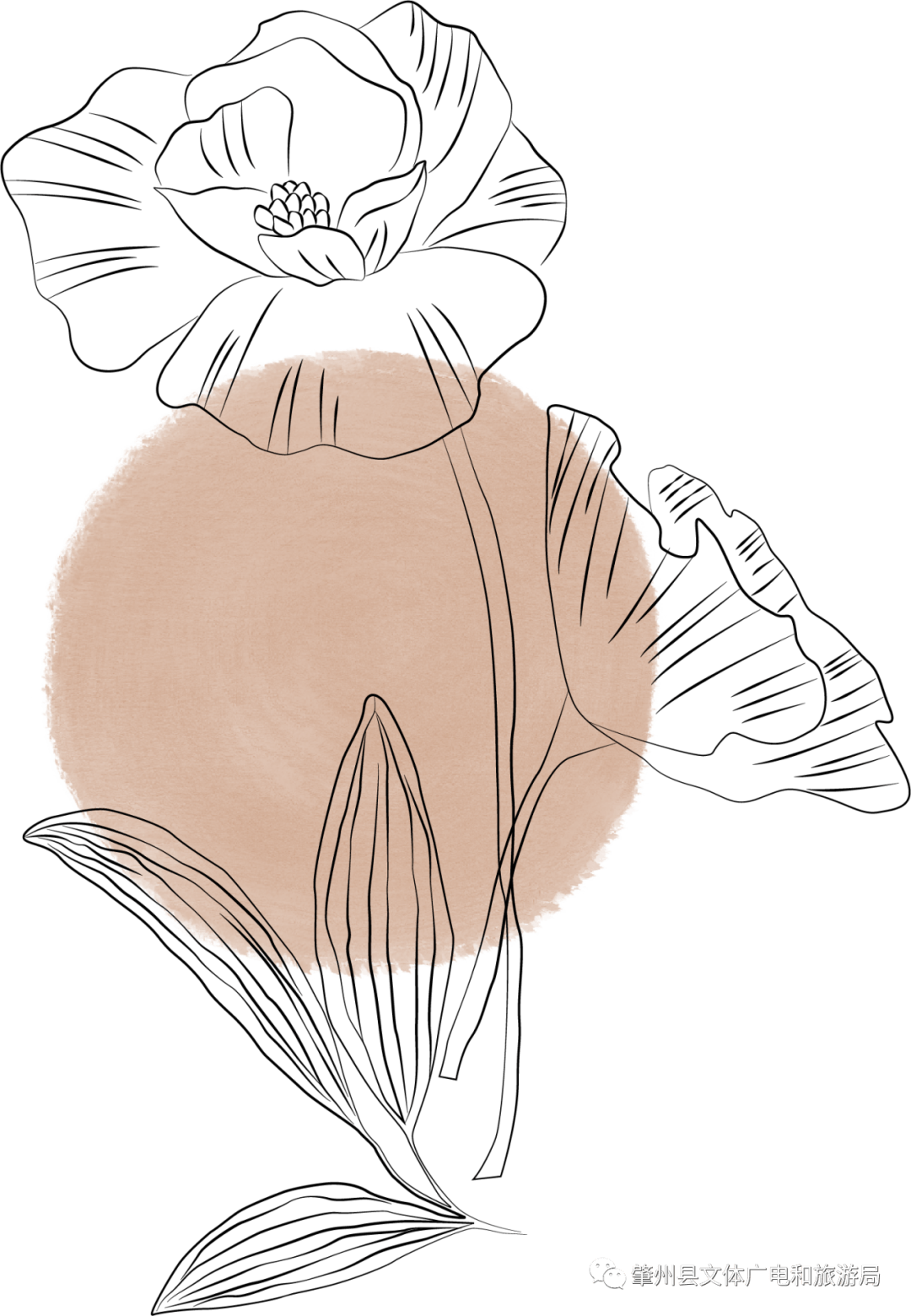 作者:吴静明美丽肇州欢迎您wo ai wo de jia山河锦